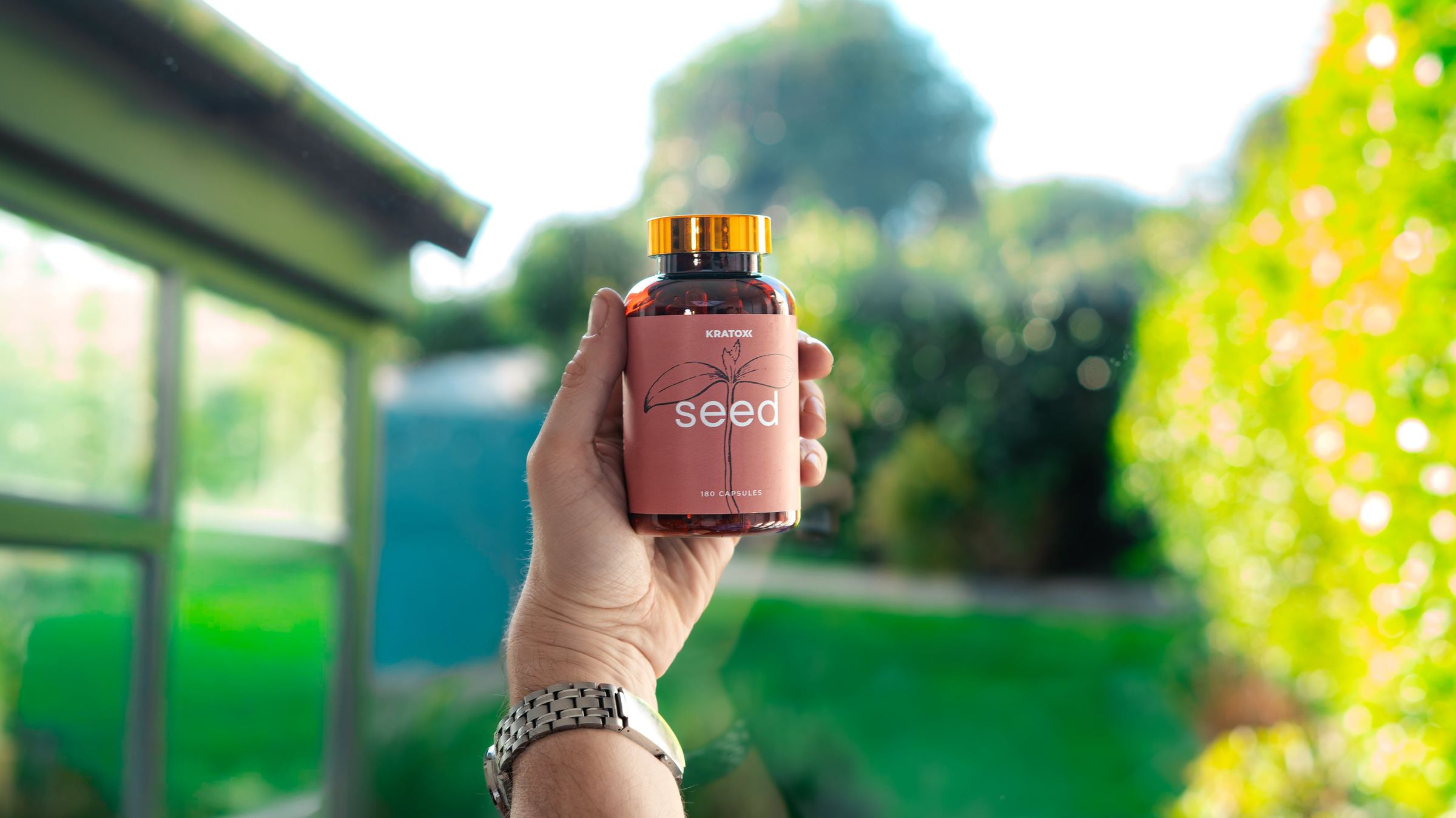 Seed product in a bright lifestyle setting